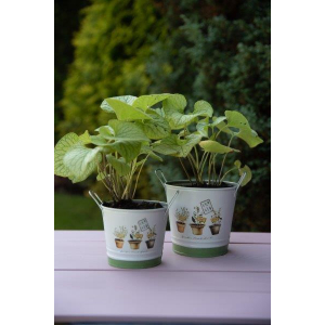 Osłonka metalowa na zioła Herbs 14cm