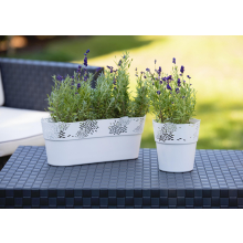 Osłonka owalna Aster 32cm mięta