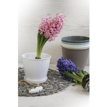 Doniczka Azalia 13cm, krem