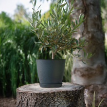 Doniczka z podstawką PELLA 14,5cm antracyt