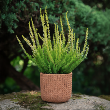 Osłonka ceramiczna RATTA 14,5cm