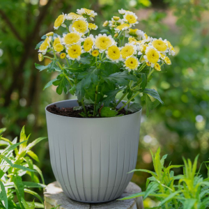 Doniczka z podstawką BRITTA 21cm szara Doniczka z podstawką BRITTA 21cm szara