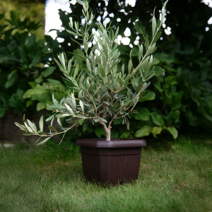 Doniczka z podstawką OCTAGON 35x35cm brązowy