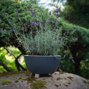 Doniczka z nóżkami POLO 3 30cm antracyt Doniczka z nóżkami POLO 3 30cm antracyt