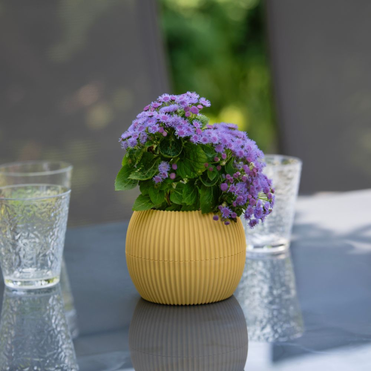 Osłonka plastikowa Coral kula 14,6cm żółta